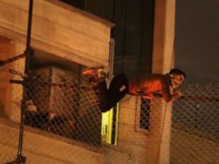 حمله به سفارت عربستان به 