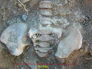 کشف اثر انگشت ۷۰۰۰ ساله در همدان (+عکس)