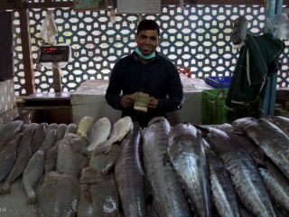 مصرف ماهی در دوران بارداری موجب افزایش هوش نوزاد می شود