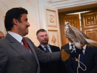 یک شاهین، هدیه پوتین به امیر قطر