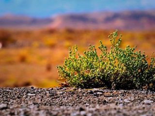 یک روز در کویر مرنجاب.