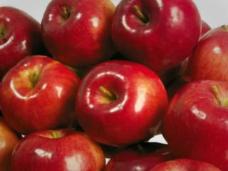 تنش در روابط تهران و ریاض 'به رکود در صادرات سیب و کیوی ایران' رسید