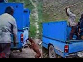 عامل شکنجه بیرحمانه یک سگ در گلستان دستگیر شد