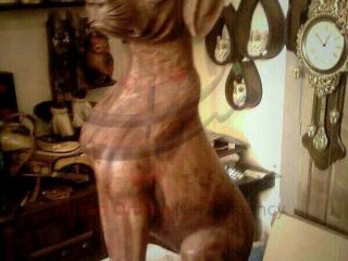 تندیس سگ کتک خورده در گلستان ساخته شد