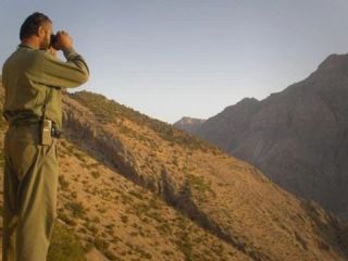 محیطبان متهم به قتل یک شکارچی بخشیده شد