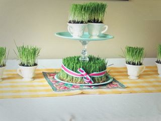 سبزه هفت‌سین ایرانی‌ها بیش از ۹ میلیارد تومان آب می‌خورد!