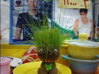 سبزه چینی هم به بازار آمد