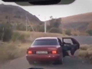 دزدیدن گوسفند به راحتی آب خوردن در چند ثانیه - ویدیو