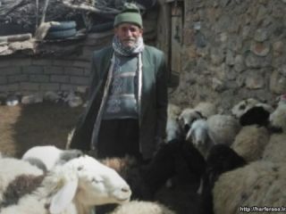 چوپانی که گرگ را بخشید