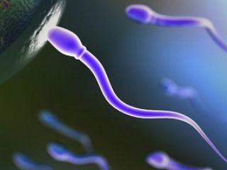 خرید و فروش اسپرم؛ رای خامنه ای و مکارم، نقد اشکوری و کدیور