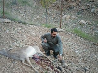 ۴ نکته درباره شرمساری ملی 