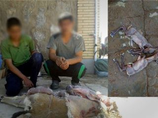 شکار آهوی باردار با موتورسیکلت