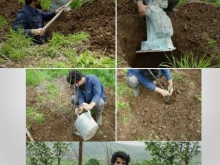 هنرمند کردی که اثر هنری‌اش را دفن کرد