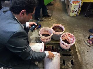 استفاده از رنگ فرش برای آلوچه و لواشک در برخی فروشگاه های فرحزاد + عکس