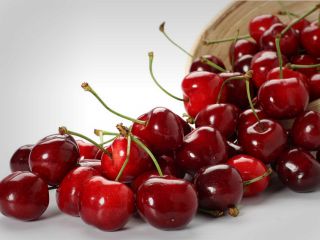 آلبالو بخورید، پنی‌سیلین نزنید