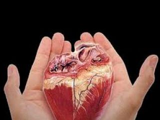 اهداء اعضای بدن جوان ملایری به ۴ بیمار