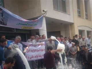 ریختن شیر در مقابل جهاد کشاورزی اصفهان