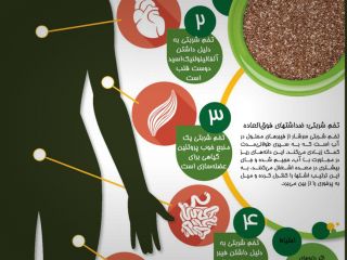 ٥ دلیل خوب برای خوردن تخم شربتی