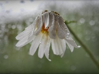 فال روز یکشنبه ۲۲ می - ۲ خرداد.