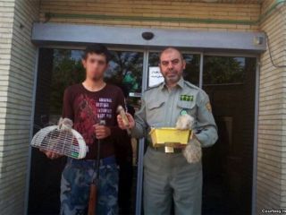 بازداشت «قصاب حیات وحش» در شبستر