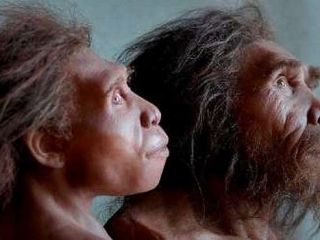 ردپای انسان های اولیه در بام قشم