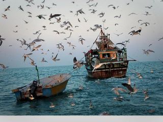 سفر از قشم به بندرخصب عمان؛ بدون‌ ویزا