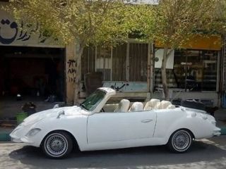 پیکان دست‌سازی که دردسر ساز شد + عکس