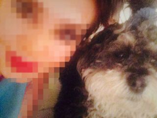 پلیس در تعقیب دختر حیوان آزار