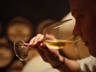 همه آنچه که باید درباره نگهداری بطری شراب بدانید