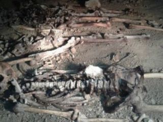 کشف یک گور دسته‌جمعی با «جسد ۹ زن» در خلخال