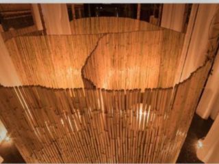 افتتاح رستوران طرفداران برهنگی در لندن