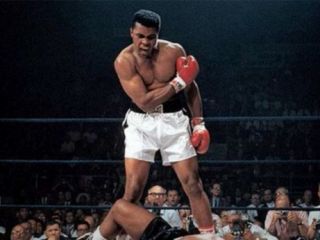 عضو خانواده 