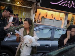 ورود به منازل و ضبط سگ‌های خانگی در شاهین‌شهر؛ اعتراض انجمن حمایت از حیوانات