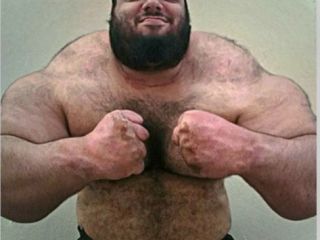 هالک ایرانی از بوشهر جهانی شد؛ او را عصبانی نکنید