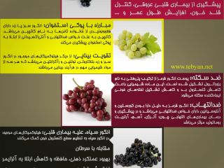 رنگ های مختلف انگور، خواص مختلف