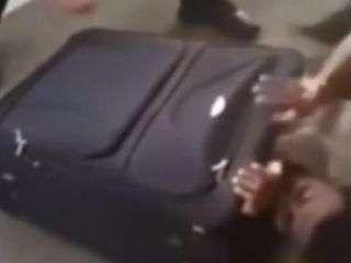 پناهجویی که سر از چمدان درآورد + ویدیو