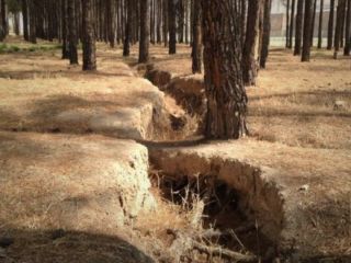 «نزدیک شدن» ترک‌خوردگی زمین به تخت جمشید در پی حفر بی‌رویه چاه