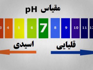 پیش به‌سوی قلیایی شدن / محیط بدن‌تان را از سرطان دور کنید