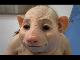 محققان آمریکایی به دنبال تلفیق انسان و حیوان هستند