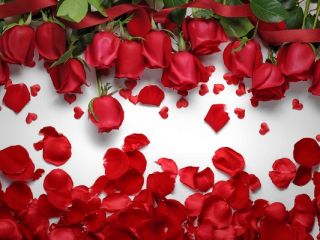 فال روز سه شنبه ۹ آگوست - ۱۹ مرداد.