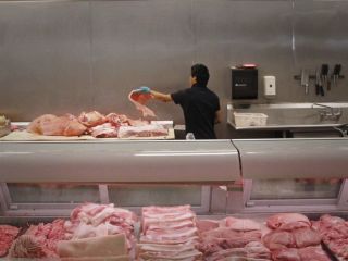 نتیجه یک پژوهش علمی: پروتئین گیاهی از نوع حیوانی بهتر است + ویدیو