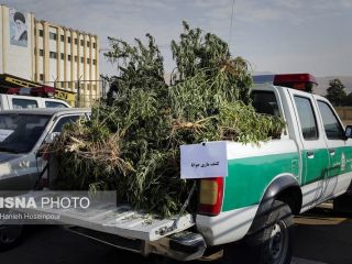 نمایشگاه نیروی انتظامی شیراز برای خبرنگاران: از ماریجوانا تا اتباع خارجی- تصاویر