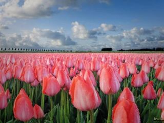 فال روز شنبه ۱۰ سپتامبر - ۲۰ شهریور.