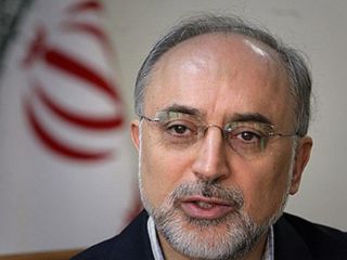 صالحی: بعد از انتخابات آمریکا شاید برجام روزهای سختی داشته باشد