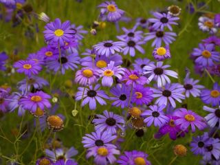 فال روز سه شنبه ۱۱ اکتبر - ۲۰ مهر.