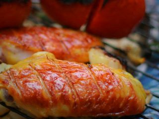 تاکتیکها و تکنیکهای آشپزی / درس نوزدهم : جوجه کباب ( طنز)