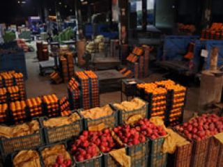 ارسال رایگان چند تن میوه‌ و سبزیجات به کربلا