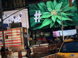 مصرف ماریجوانا در کالیفرنیا آزاد می‌شود