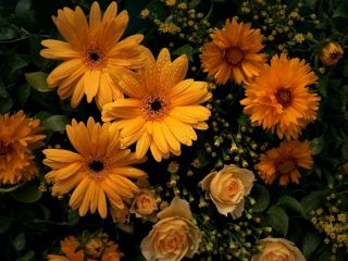 فال روز شنبه ۱۲ نوامبر - ۲۲ آبان.