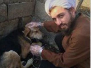 طلبه‌ای که حامی‌ سگ‌های ولگرد شد